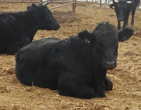 /album/fotogaleria-inicio/img-20151214-110323-jpg/