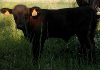 /album/fotogaleria-inicio/fb-img-1452189373468-jpg/