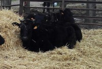 /album/fotogaleria-inicio/img-20160110-013627-jpg/